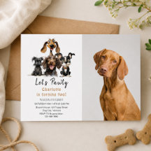 Dog Let's Pawty Birthday Foto