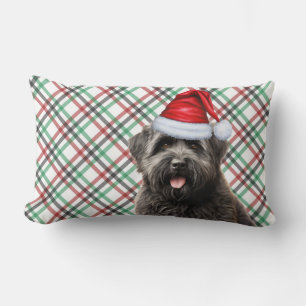 Dog Lover Christmas Bouvier Dog und Holiday Karier Lendenkissen