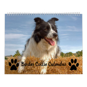 Dog Lover Gemischter Grenzkalender Kalender