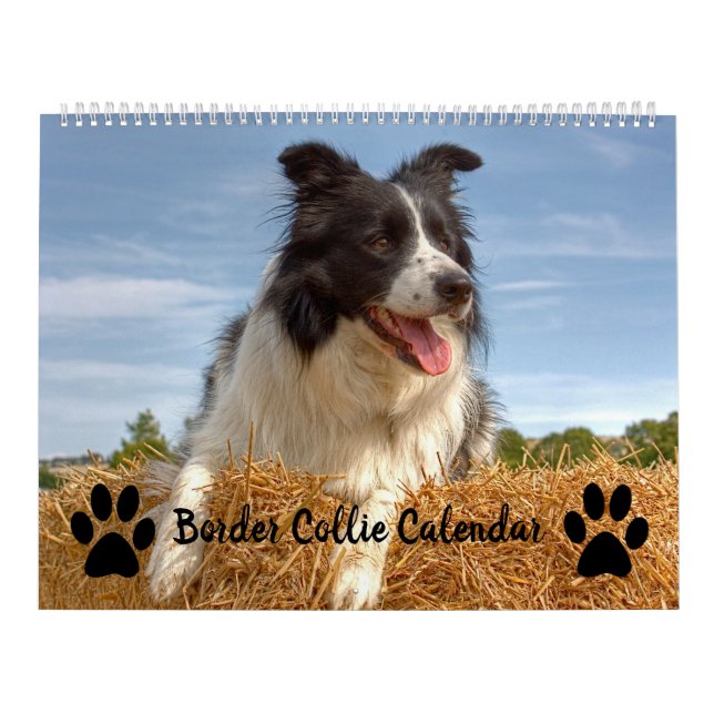 Dog Lover Gemischter Grenzkalender Kalender (Titelbild)