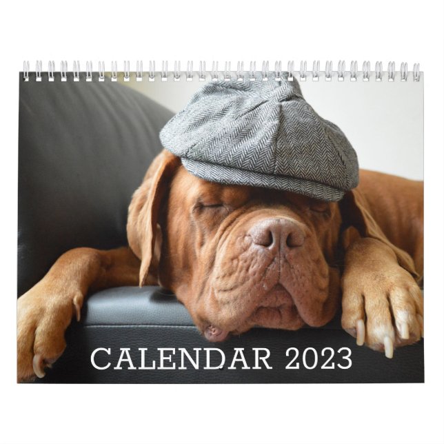 Dog Lover-Kalender Kalender (Titelbild)