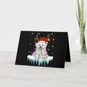 Dog Lover [maltese Christmas Fairy Light In Winter Feiertagskarte