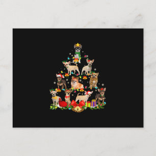 Dog Lover spendet Chihuahua Tree Weihnachtslicht Postkarte