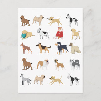 Dog Lover's Club Pattern Postkarte