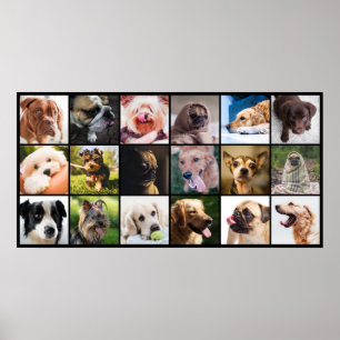 Dog Lover's Poster