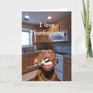 Dog loves Thanksgiving Feiertagskarte