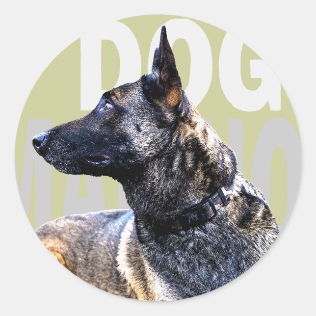 Dog Malinois Runder Aufkleber (Vorderseite)