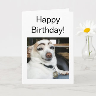 Dog Meme für geklappte Karten