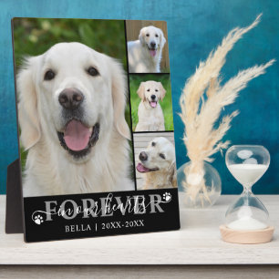 Dog Memorial 4 Foto Forever in unseren Herzen Fotoplatte