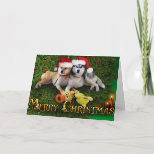 Dog Merry Christmas Card Feiertagskarte