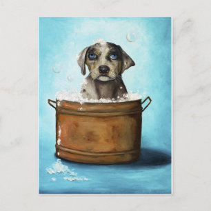 Dog n Suds Postkarte