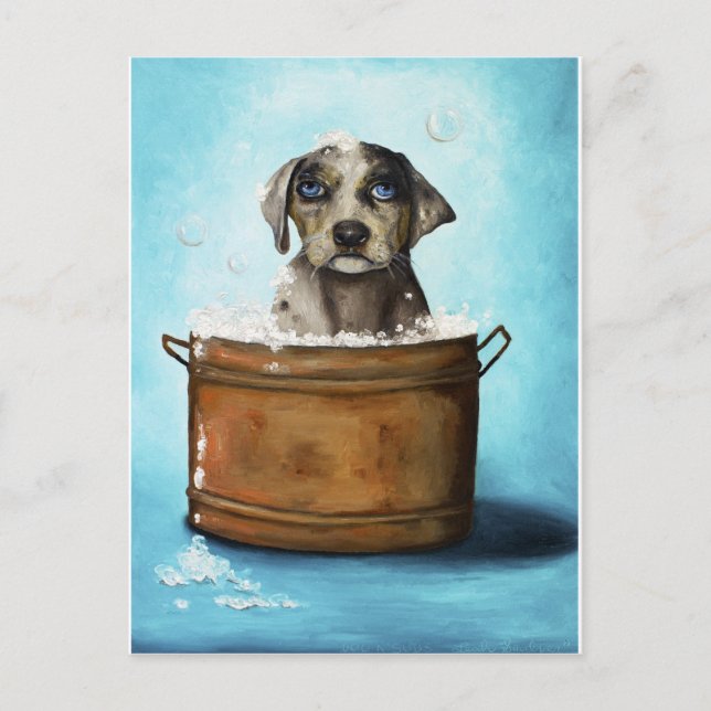 Dog n Suds Postkarte (Vorderseite)