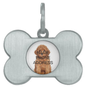 Dog Name, Telefon und Foto anpassen, personalisier Tiermarke