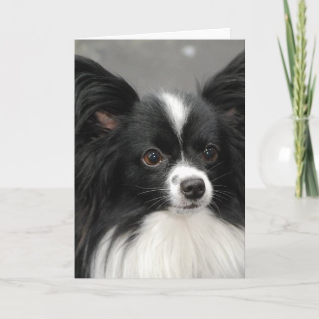 Dog Note Card Karte (Vorderseite)