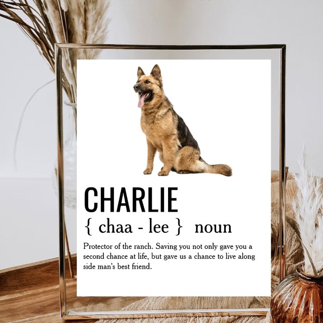 Dog Noun Definition Hunde Mama Vater Hund Lover Be Poster (Von Creator hochgeladen)