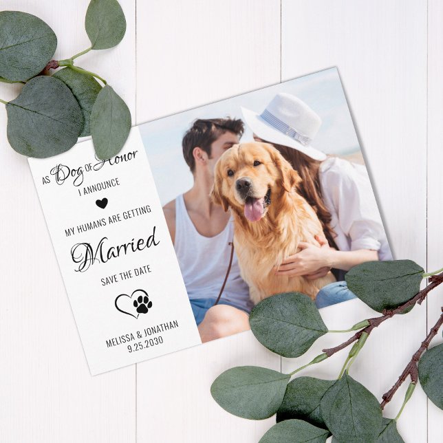 Dog Of Honor Personalized Pet Photo Dog Wedding Save The Date (Von Creator hochgeladen)