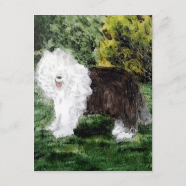 Dog Painting Old English Sheepdog Postkarte (Vorderseite)
