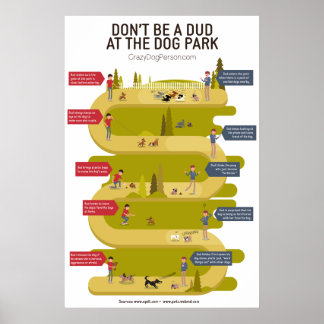 Dog Park Etiquette 101 Infografik Poster