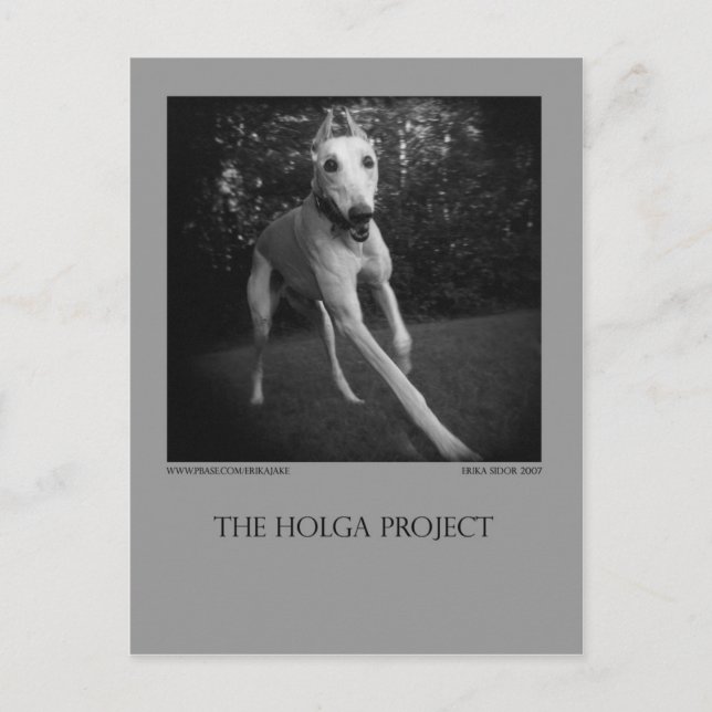 Dog Park Postcard 11 Postkarte (Vorderseite)