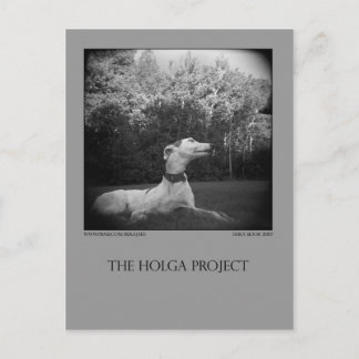 Dog Park Postcard 12 Postkarte