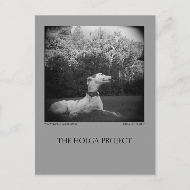 Dog Park Postcard 12 Postkarte (Vorderseite)