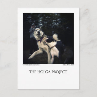 Dog Park Postcard 13 Postkarte