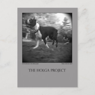 Dog Park Postcard 15 Postkarte