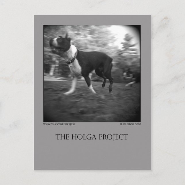 Dog Park Postcard 15 Postkarte (Vorderseite)