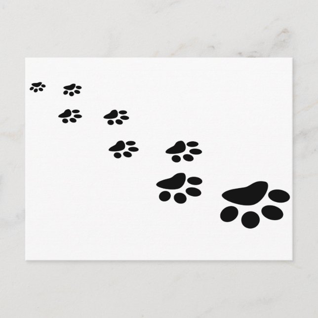Dog Paw Postkarte (Vorderseite)