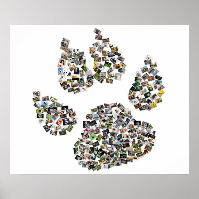 Dog Paw Print Collage Poster (Vorne)