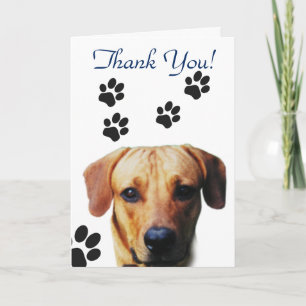 Dog Paw Print Vielen Dank Dankeskarte