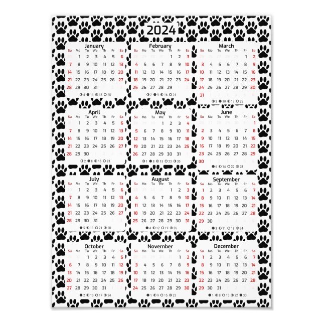 Dog Pawprint Muster 2024 Kalender Fotodruck (Vorne)