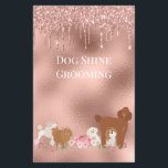 Dog Pet Grooming Sitting Business Glitzer Flyer<br><div class="desc">Dieses Design kann in dem Bereich personalisiert werden, der durch das Ändern des Fotos und/oder Textes zur Verfügung gestellt wird. Oder Sie können es anpassen, indem Sie den Mausklick auswählen, um weitere Optionen anzupassen, um die Farbe des Hintergrunds zu löschen oder zu ändern, Text hinzuzufügen, die Textfarbe oder den Stil...</div>
