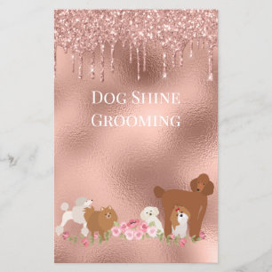 Dog Pet Grooming Sitting Business Glitzer Flyer