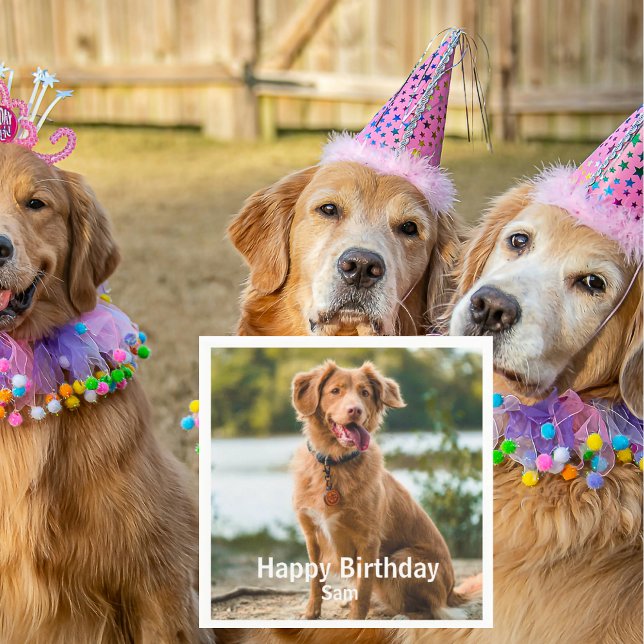 Dog Photo Personalized Birthday Cocktail Serviette (Von Creator hochgeladen)