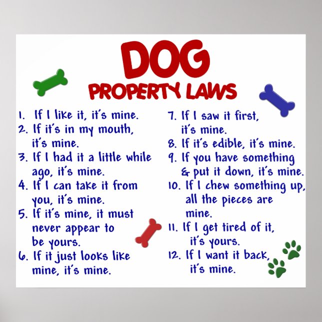 DOG PL2 POSTER (Vorne)