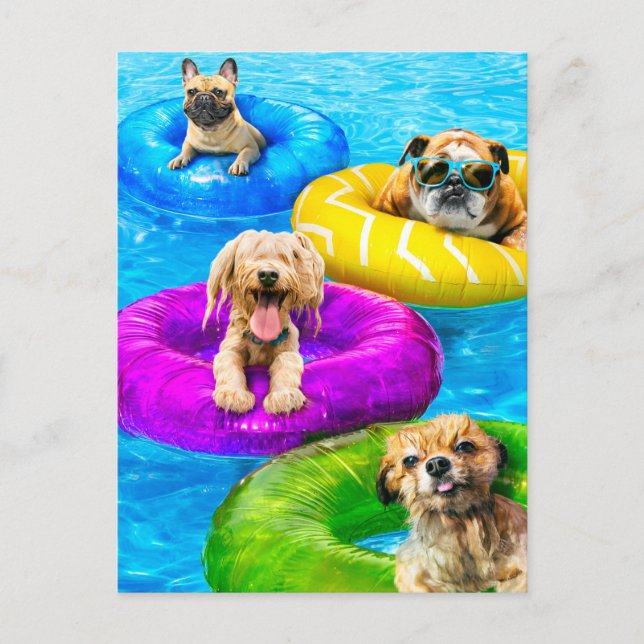 Dog Pool Party Postkarte (Vorderseite)