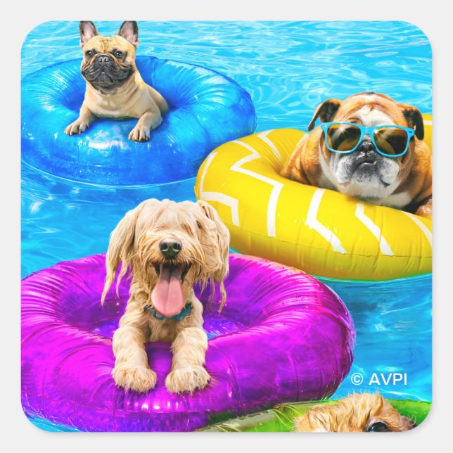 Dog Pool Party Quadratischer Aufkleber (Vorderseite)