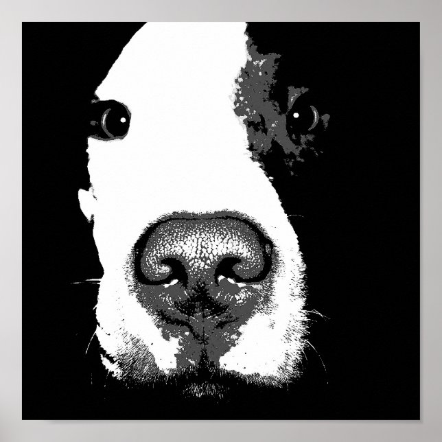 Dog Pop Art Poster (Vorne)