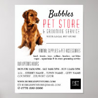 Dog Portrait, Pet Store & Groomer Werbung