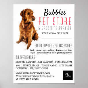 Dog Portrait, Pet Store & Groomer Werbung Poster