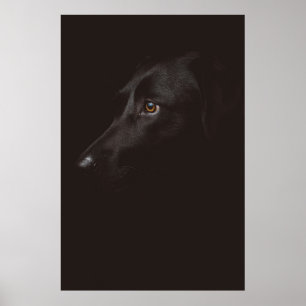 DOG PORTRAIT POSTER