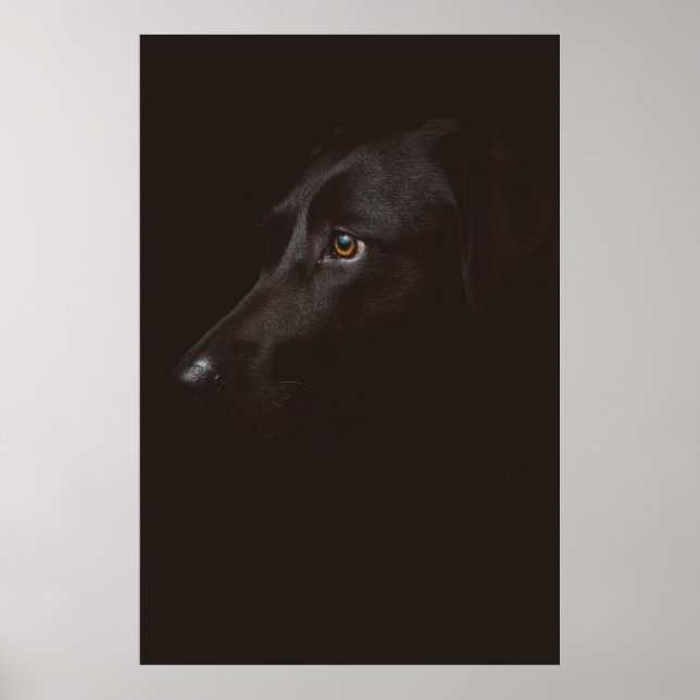 DOG PORTRAIT POSTER (Vorne)
