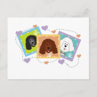 Dog Portraits Tshirts und Geschenke