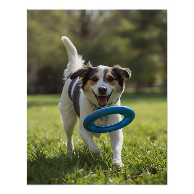 DOG POSTER (Vorderseite)