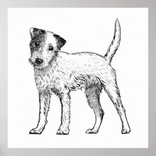 Dog Poster / Wall Art Jack Russell Terrier