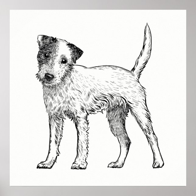Dog Poster / Wall Art Jack Russell Terrier (Vorne)