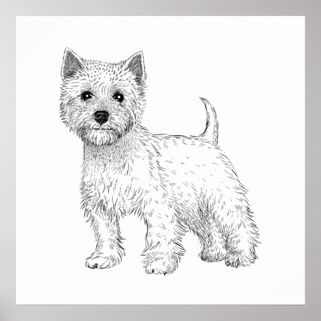 Dog Poster / Wall Art West Highland Terrier (Vorne)