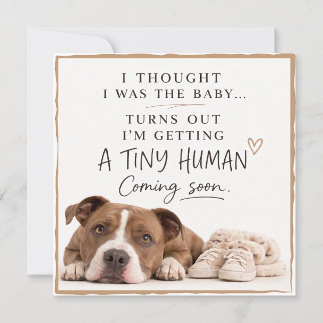 Dog Pregnancy Announcement Card Einladung (Vorderseite)