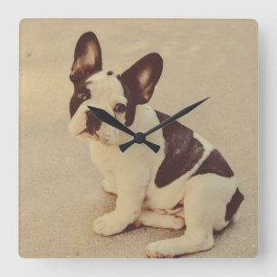 Dog Quadratische Wanduhr